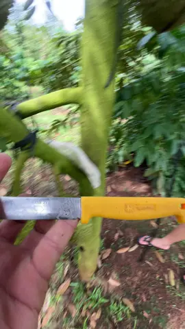 Êm  đó nhe@nào có ny đổi tên 
