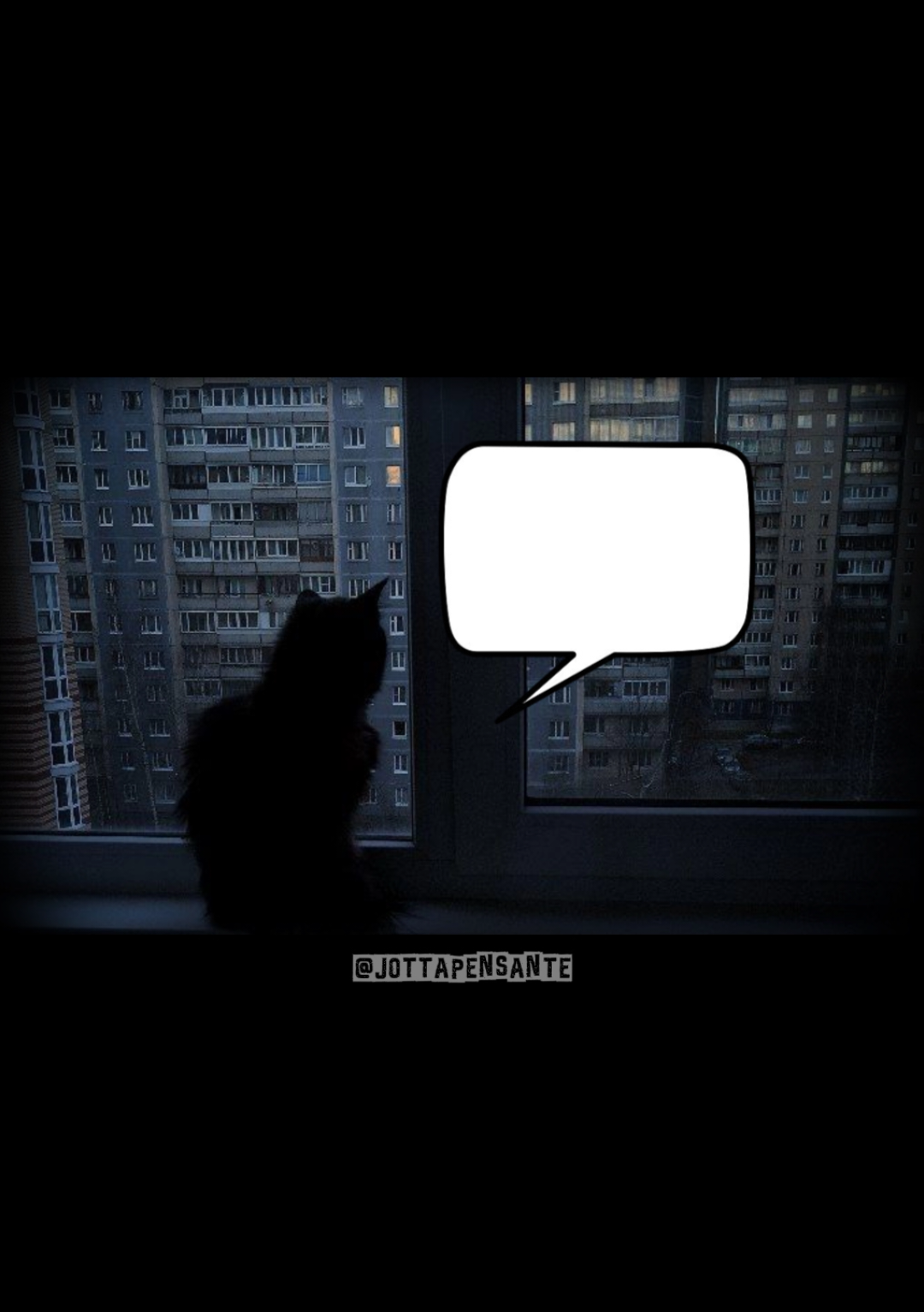00:45 . #filosofia  #cat  #melancolia  #hopecore  #foryou 