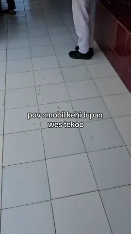 🫡🫡 #mbg #makanbergizigratis #fy #programprabowo 