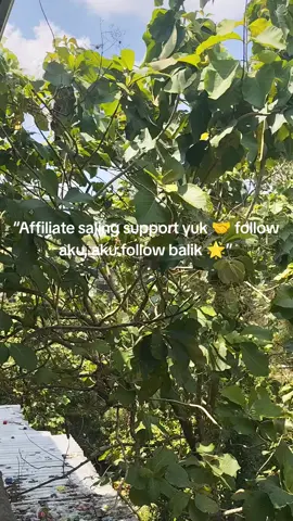 Affiliate bareng-bareng cuan 🛒✨ Yuk saling follow biar sama-sama berkembang 💯 Komentar done kalau udah follow, auto follback 🙌” #AffiliateTikTok #AffiliateSquad #SupportAffiliate
