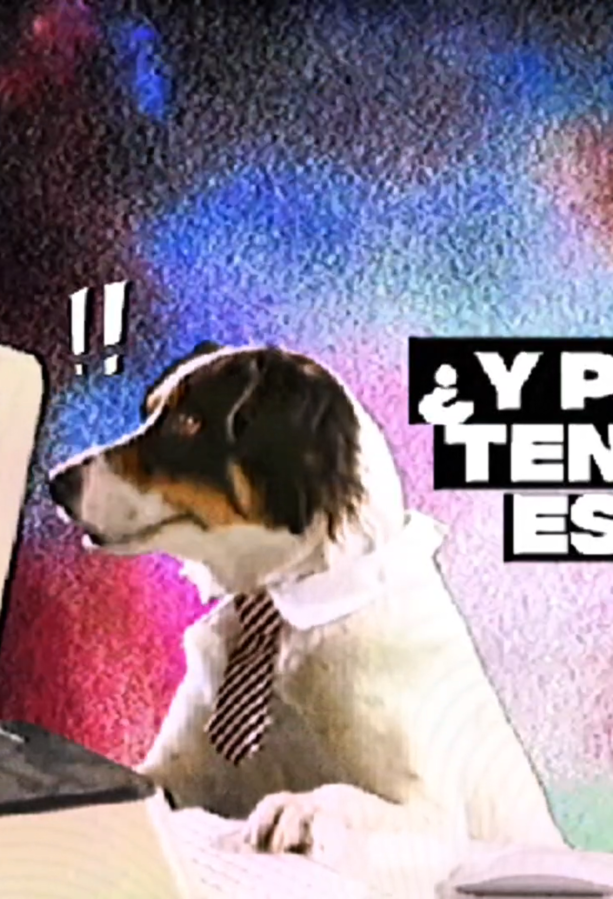 y todavía me siento un anormaaaal #charlygarcía #pianobar #demoliendohoteles #musicaenespañol #fyp 
