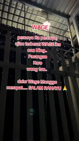 Salam Rahayu Kagem sedulur sedoyo 🙏🫶#padahariini #fyp #wetonjawa #wage 