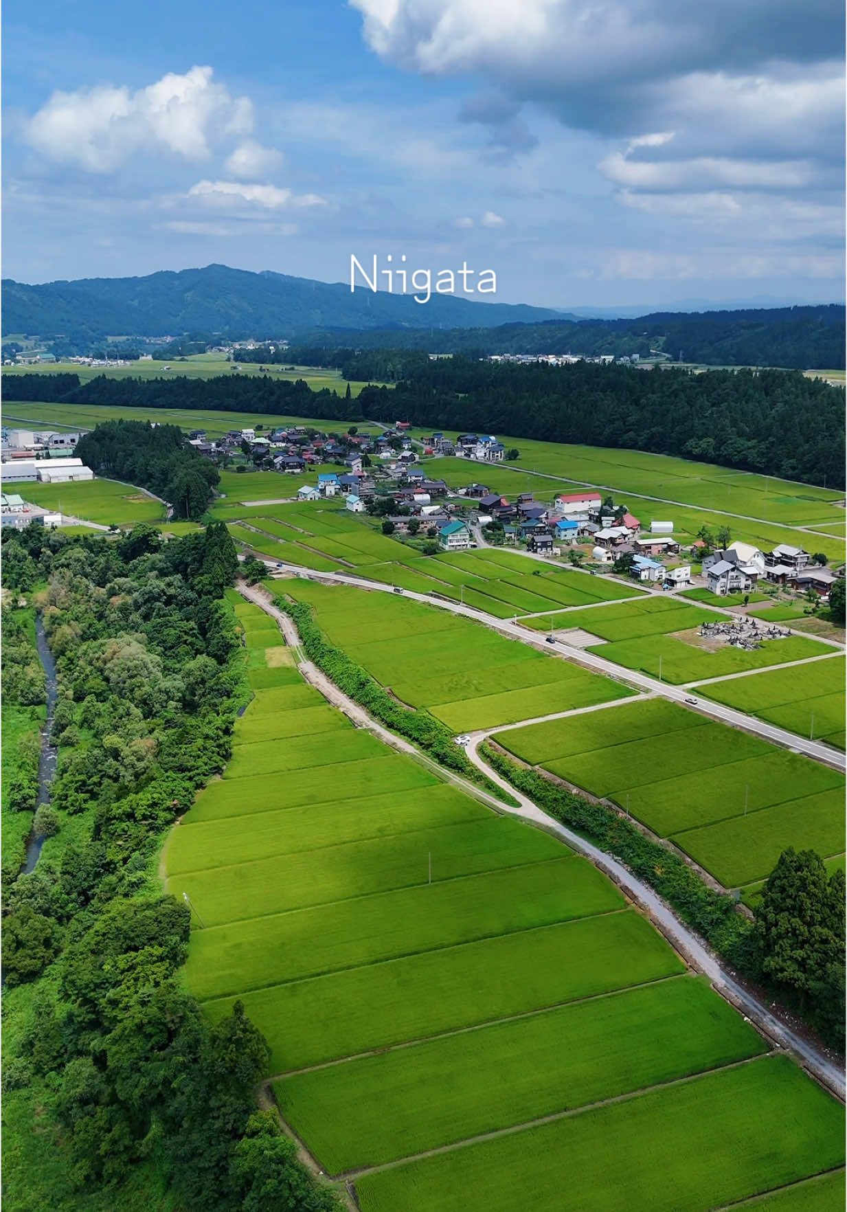 Niigata Japan ❤️❤️#djimini4pro #dji #drone #fyp #