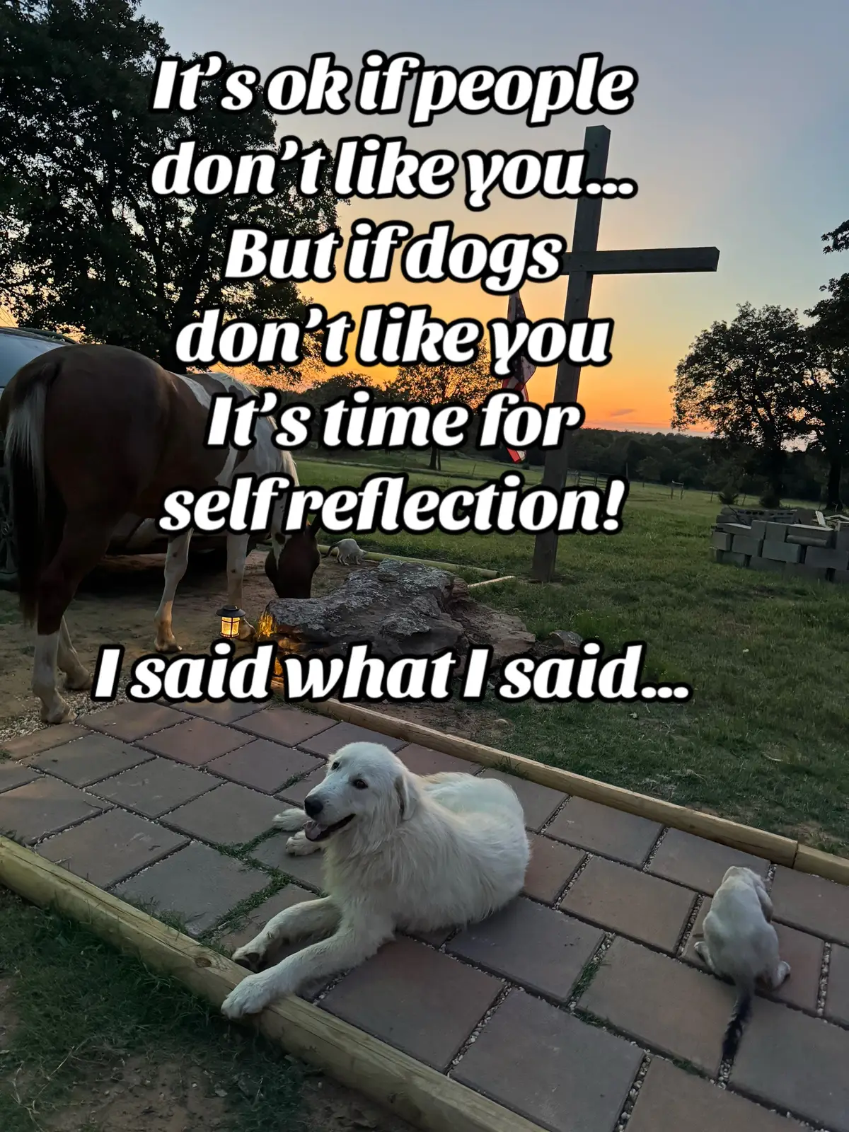 You better check yourself if dogs don’t like you!  I said what I said… animals are smart.  #tiktok #wdnc #Outdoors #dog #SelfImprovement 