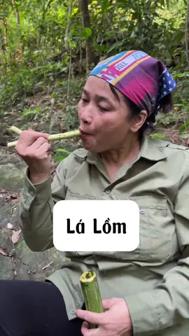 Lá lồm giã muối #amthuc #LearnOnTikTok #ancungtiktok #bacsythaoduoc 
