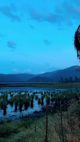 Nature’s infinite beauty #fyp #naturevibes #naturevideos #naturetherapy #💙