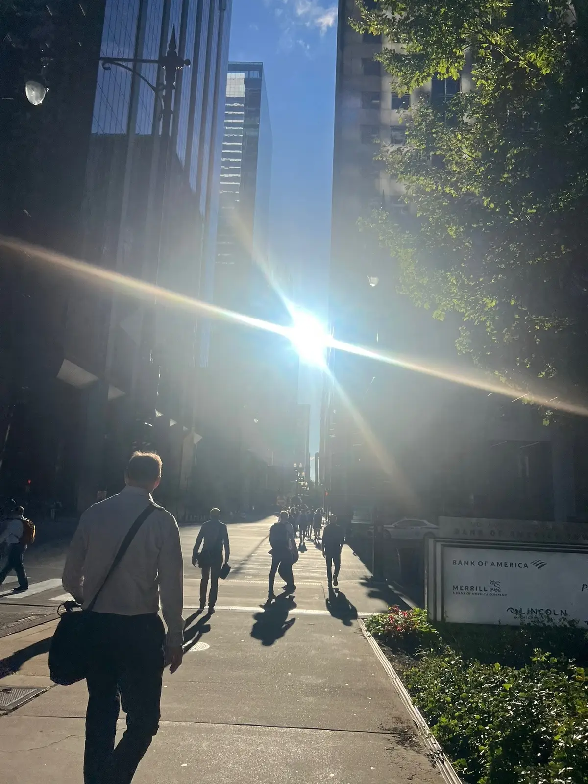 week recap