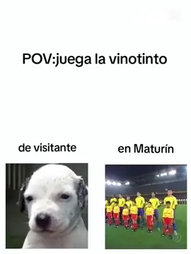 Invictos en casa🤑🇻🇪 . #venezuela🇻🇪  #vinotinto🇻🇪⚽️  #futbol⚽️ #mundial #brasil🇧🇷 