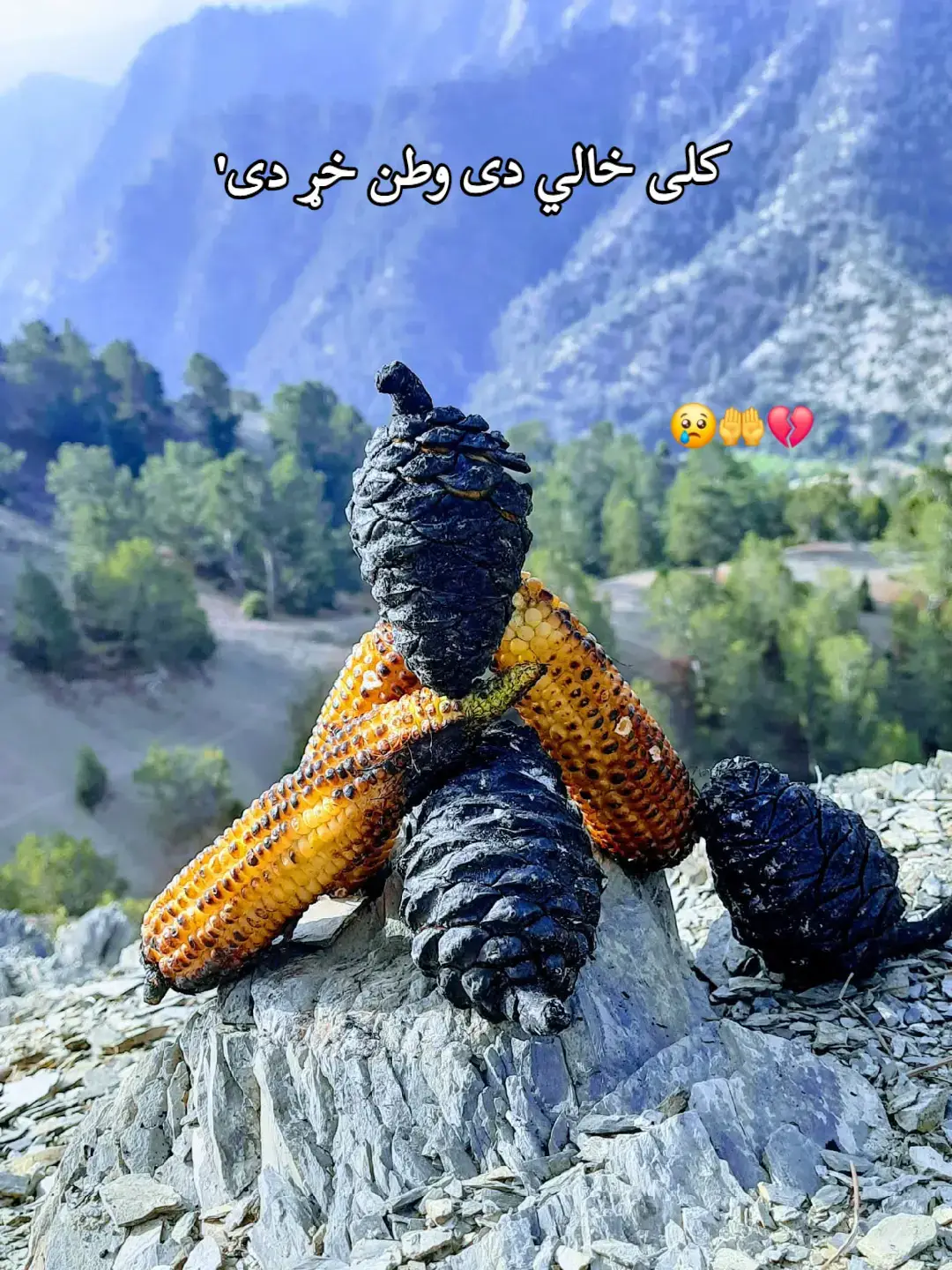 #afghanistan🖤❤️💚 #fyp #f #foryoupage❤️❤️ #viduoviral😻🙏 
