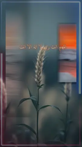 #CapCut سيد الاستغفار #صباحكم_معطر_بذكر_الله 