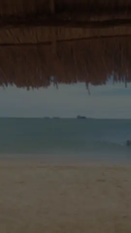 buen día 