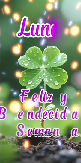 Inicio desemana  #lunes#buenosdias#bendicionesparatodos #✨shane19723🇧🇪🇪🇨✨ 