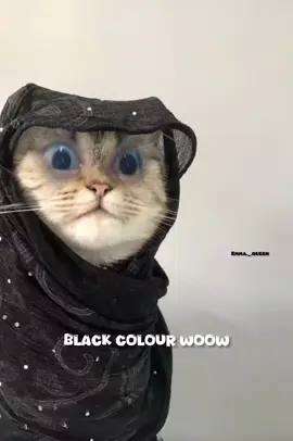 🤣🤣and my fav colour purple 🟣💜#emaaqueen 