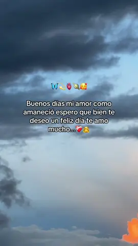 Buenos días mi amor 🪐🖇️❤️‍🩹🌹🌷🫀#teamo #amor #amoradistancia #teladedico #mivida 