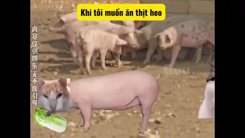 Phần|34#xh #fyp #memecat 