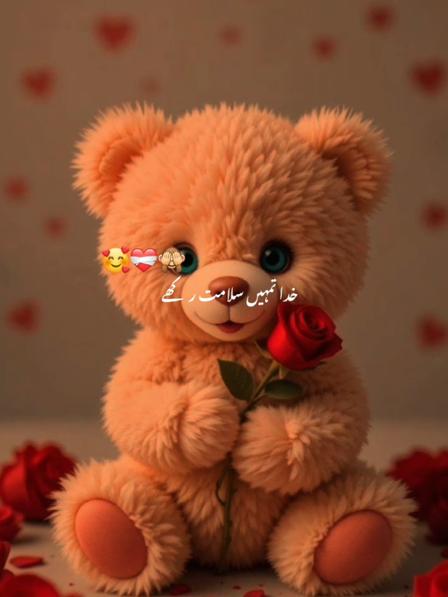dear TikTok team please don't under review my video 