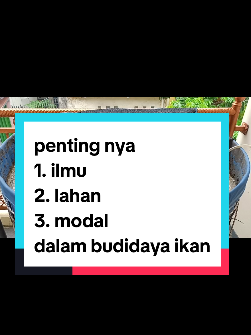 hari ke 115 selain sistem SOP budidaya ( ilmu ) ada 2 hal yang cukup menentukan bisnis ikan konsumsi berjalan yaitu 1. LAHAN 2. MODAL #bioflokindonesia #bioflokbekasi #budidayaikan #investasi #perikanan 