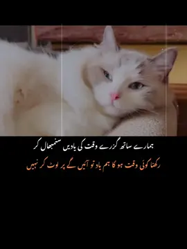 #fyp #sadpoetry #sadpoetry #sadpoetry 