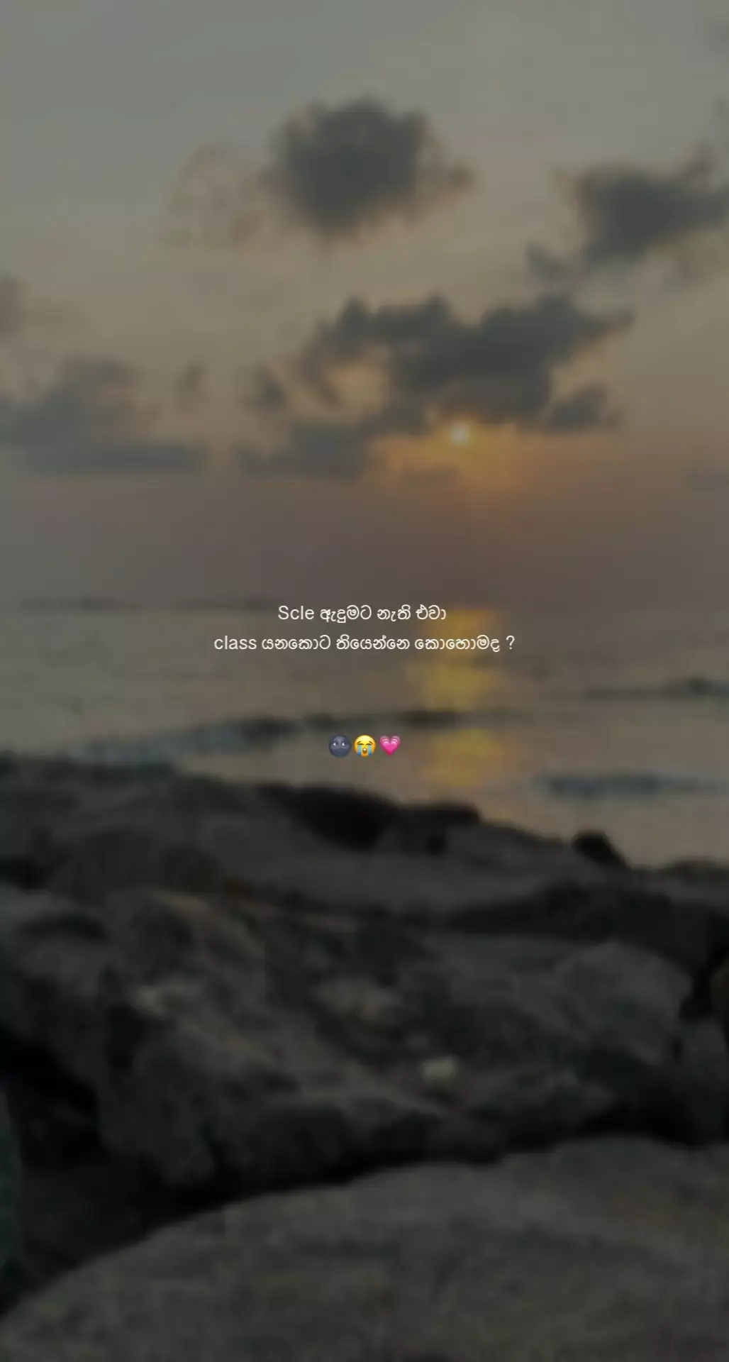 එලෙස කෙලෙස 😒 #fyp #yyyyyyyyyyyyyyyyyy #200k❤️ #tiktok 