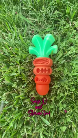 This is her favorite chew toy! #suziqcustomdesign #creativecraftingconcepts #tiktokbacktoschool #tiktoklaborday #blacklabsoftiktok #suziqandstormitoo #apasiritoughdogchewtoy #carrotchewtoy #apasiri 