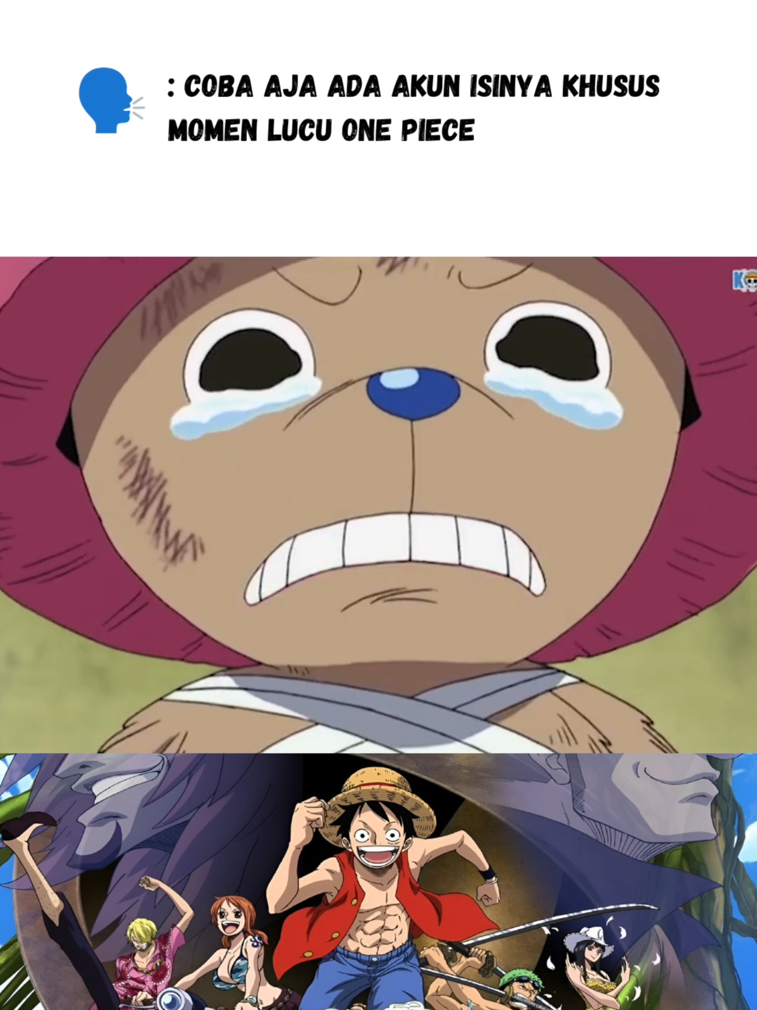 Akhirnya Chopper bisa diandalkan... #onepiece #onepiecelucu #onepiecengakak #onepiecetiktok #anime