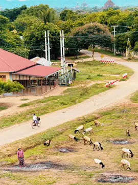 နောင်ဘဝကိုလေ မြင်နိုင်စွမ်းမရှိပါ.. ခုဘဝတော့ စိတ်ချနိုင်ပြီလေ🌸🍂🍁 #ThetNaing_Photography #ThetNaing_TukTuk #ပုဂံ #Bagan #foryoupage 