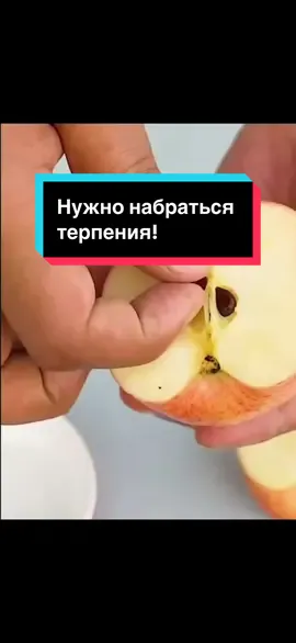 Выращиваем яблоню из семячка #сад #огород 
