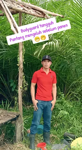 Assalamualaikum Selamat siang guys... Inilah contoh bodyguard yg ga'sombong ke kebun sawit aja di setia kawal tuannya😁😁😁🤭🤭🤭 Jadi ikut²an yg lagi viral, keren abis nich efeck. #efeckkeren #fyppppppppppppppppppppppp #foryou #yp