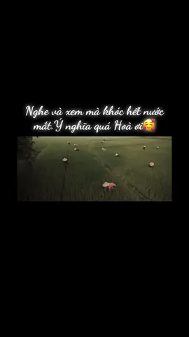 Ý nghĩa và xúc động quá #noidaugiuahaobinh #hoaminzy #mưado #anhta 