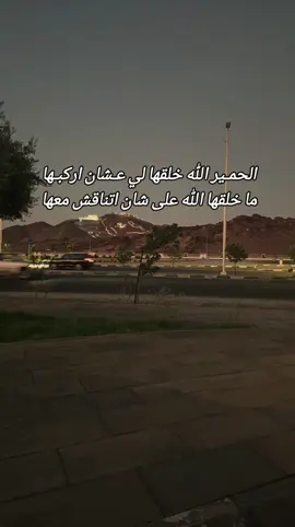 #اكسبلور #ناصر_الفراعنه 