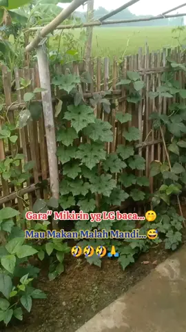 #asalamualaikumwrwb🙏 
