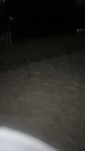 #chikis #viralvideo #beach 