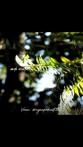 Mọi người có tin vào 2 từ “phép màu” #wannasay #podcast #healing #chualanhtamhon #tamtrang 