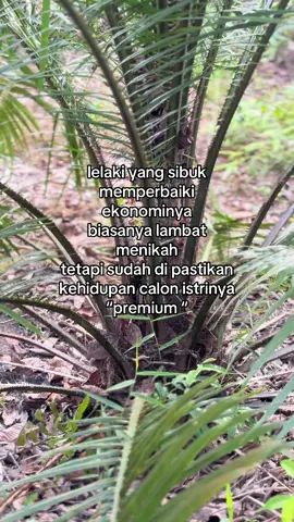 walaupun 10 btng🤭.                       #sawit