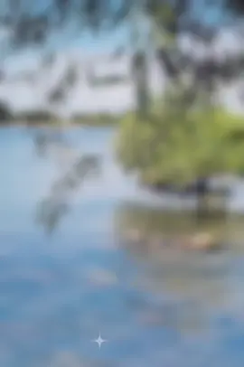 #CapCut 