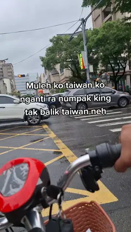 pokok teko taiwan kdu tumbass🤪😤😁#fyp #rxking #rxkingindonesia #rxkingtaiwan #rxkingnusantara 