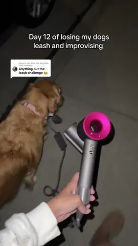 Replying to @Jen Rizzo The Dog Mom Life she’s having a rough hair day 🎀💆🏽‍♀️😳✨  #dog #goldenretriever #dyson #walk 