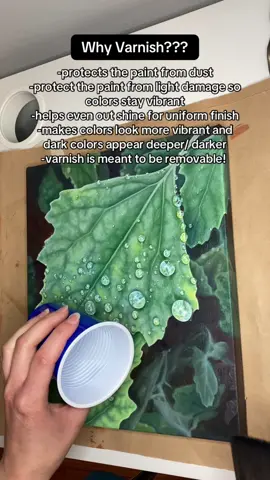 Why Varnish?? It’s good for the long term preservation of the painting!!  -protects the paint from dust -protects from light damage/ fading  -evens shine, unifrom finish -makes darks darker and colors pop -is removable!  #artist #artisttips #varnish #oilpainting  