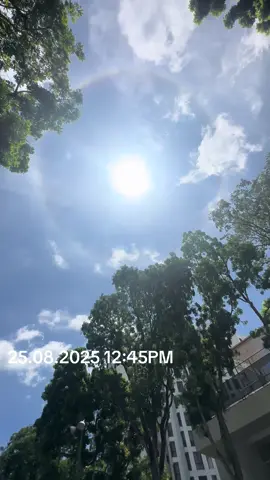 Dont miss it guys go out and watch it protected sunglasses #activenerd #sun #sunhalo #nature #singapore 