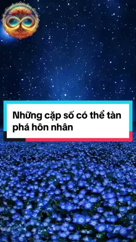 Những cặp số có thể tàn phá hôn nhân #giaimasodienthoai #nangluongso #phongthuytamlinh #simsophongthuy #simsodep 