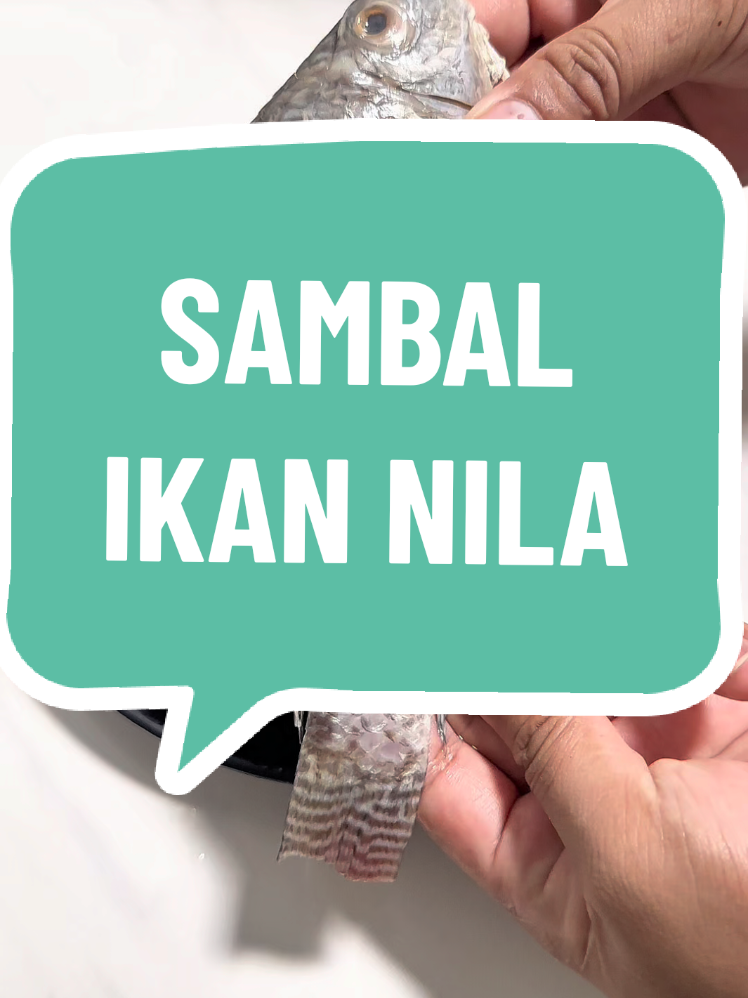 Menu bikin boros nasi🤤🤤😍 BAHAN: - Ikan nila 3 ekor - Bawang merah 7 siung - Bawang putih 5 siung - BUMBU HALUS (Cabe rawit merah 12 buah, Cabe rawit ijo 25 buah, Cabe keriting 5 buah, air secukupnya) - Tomat 3 buah ukuran sedang - Garam, gula pasir secukupnya  - Saus tiram 1 sdm #ikannila #sambalikannila #menurumahan #menusederhana #resepmasakanrumahan 