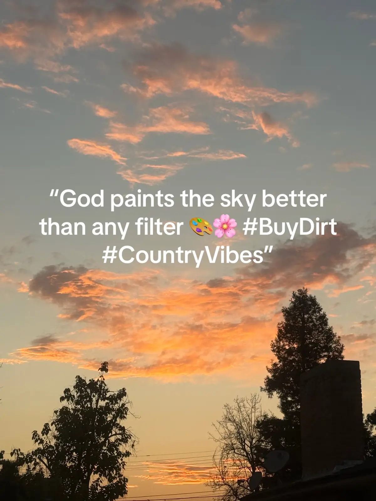 A Bakersfield evening where the sky turns soft shades of pink, framed by tall trees standing like watchmen on each side. The sunset whispers peace, reminding us that life’s richest blessings aren’t bought—they’re seen, felt, and cherished in moments just like this. CountryMusicVibes #SunsetLovers #BakersfieldSunset #NatureViews #SkyBeauty #CountryLife   