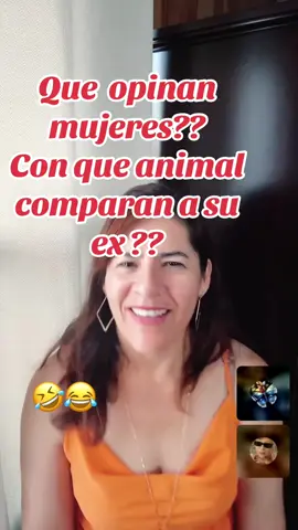 #tiktoklive #livehighlights que opinan mujeres?? Con que animal comparan a su ex??#
