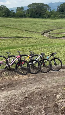 Team Elves! #elvesphilippines #montage #Mtb #foryoupage #CapCut 