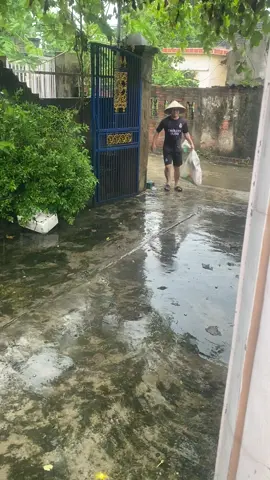 gặp ngay quả bão