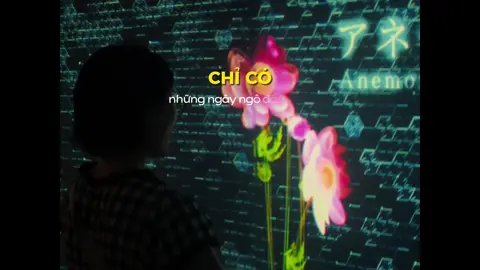 Đơn nhà hàng Tokyo quán thịt nướng  Sẽ có thể bắt đầu làm baito từ 1200-1700 sau đó lên shain nha! #suhuongtiktok #hotrochuyenviectainhat #timviectainhat #cuocsongnhatban 