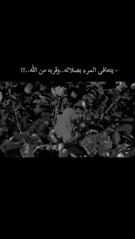 يتعافى المرء بصلاته.. وقربه من ﷲ..!   #virall #fypシ #foryou   #اقتباسات#اكسبلورexplore     