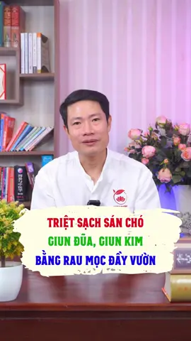 Triệt sạch sán chó, giun đũa, giun kim, bằng loại rau mọc đầy đường #sancho #giunduachomeo #giunkim #kysinhtrung #meohay #tranhoanghai