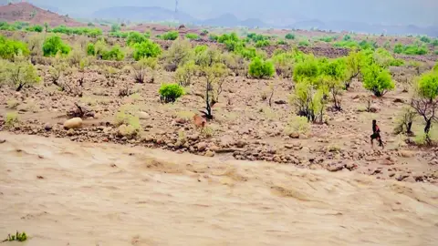 1000 million views viral video #balochistan_beauty #1000milionviews #viralvideo #trendingsong #unfreezemyacount #Capcut #foryou 