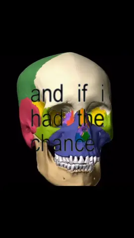 life is a game of bones #bp #bpedit #bones #mandable #skull